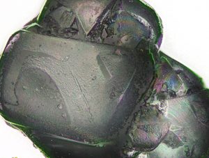 L Lyxose